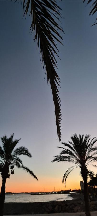 Villa Ange Azur Villeneuve-Loubet Zewnętrze zdjęcie
